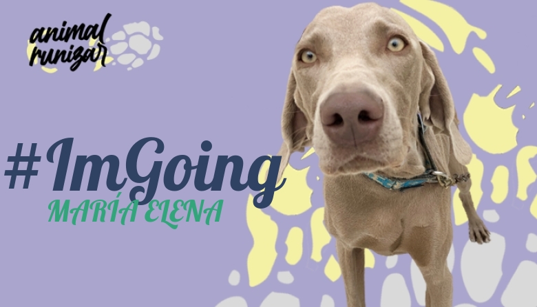 #ImGoing - MARÍA ELENA (ANIMALRUNIZAR 2022)