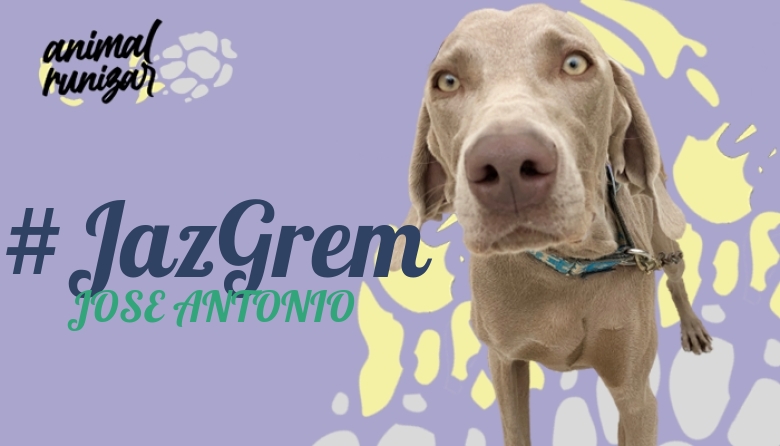 #ImGoing - JOSE ANTONIO (ANIMALRUNIZAR 2022)