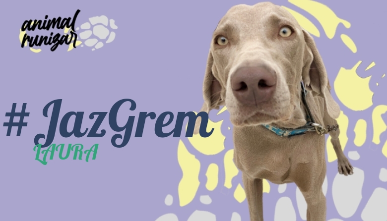 #JazGrem - LAURA (ANIMALRUNIZAR 2022)