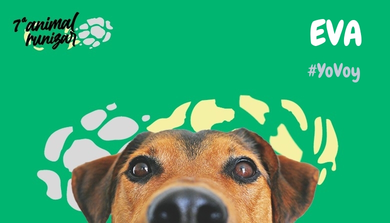 #Ni banoa - EVA (ANIMALRUNIZAR 2024)