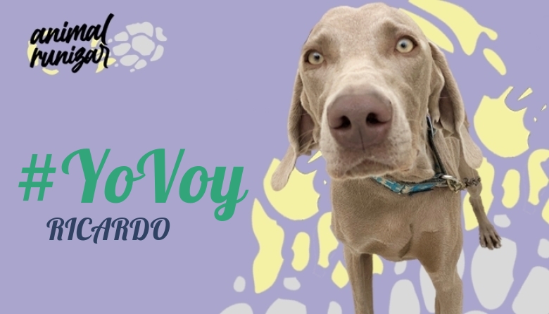 #Ni banoa - RICARDO (ANIMALRUNIZAR 2023)