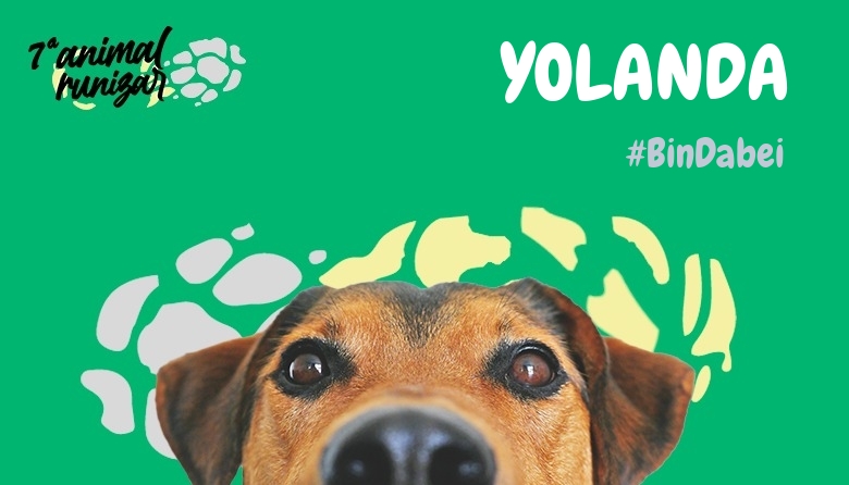 #EuVou - YOLANDA (ANIMALRUNIZAR 2024)