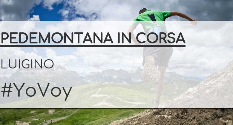 #Ni banoa - LUIGINO (PEDEMONTANA IN CORSA)