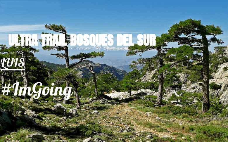 #BinDabei - LUIS (ULTRA TRAIL BOSQUES DEL SUR)