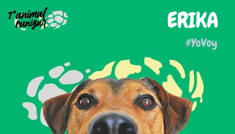 #Ni banoa - ERIKA (ANIMALRUNIZAR 2024)