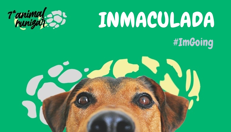 #YoVoy - INMACULADA (ANIMALRUNIZAR 2024)