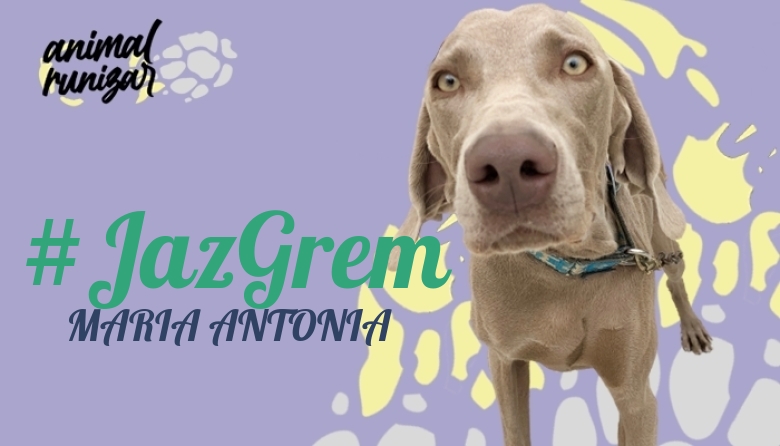 #JoHiVaig - MARIA ANTONIA (ANIMALRUNIZAR 2023)