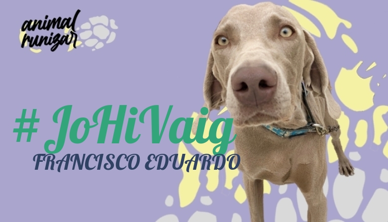 #ImGoing - FRANCISCO EDUARDO (ANIMALRUNIZAR 2023)