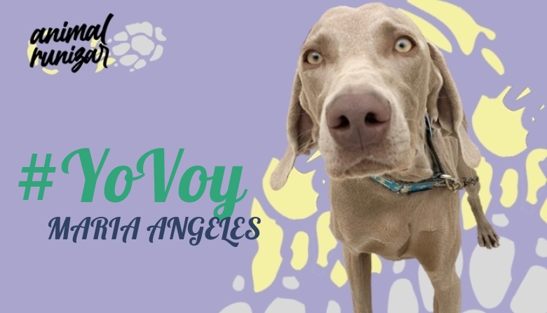 #JazGrem - MARIA ANGELES (ANIMALRUNIZAR 2023)