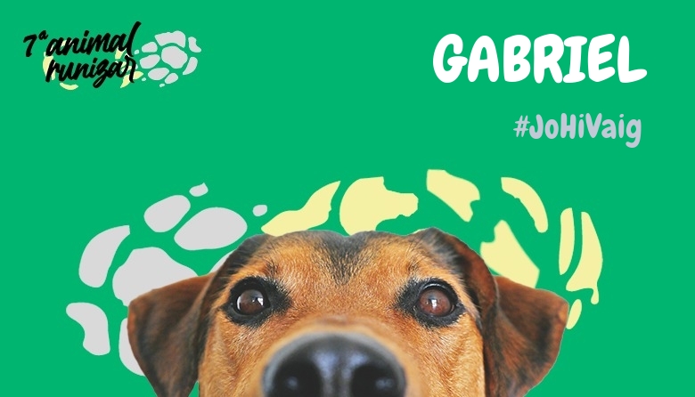 #BinDabei - GABRIEL (ANIMALRUNIZAR 2024)