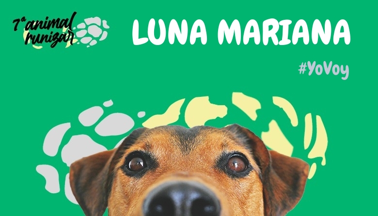 #JoHiVaig - LUNA MARIANA (ANIMALRUNIZAR 2024)