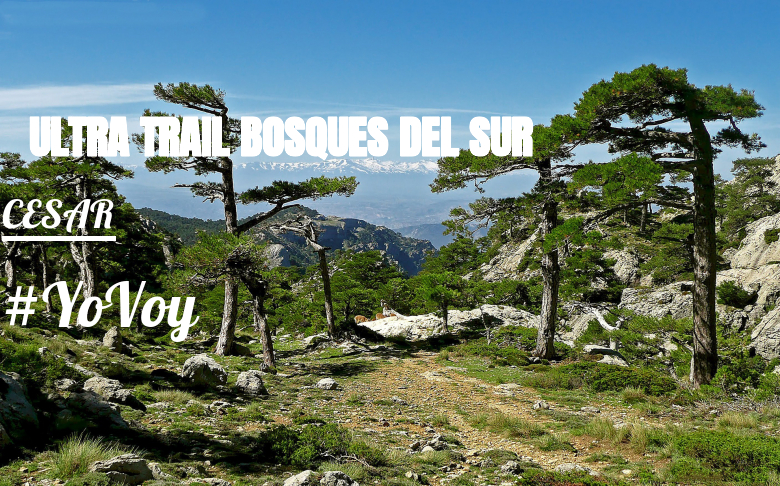 #Ni banoa - CESAR (ULTRA TRAIL BOSQUES DEL SUR)