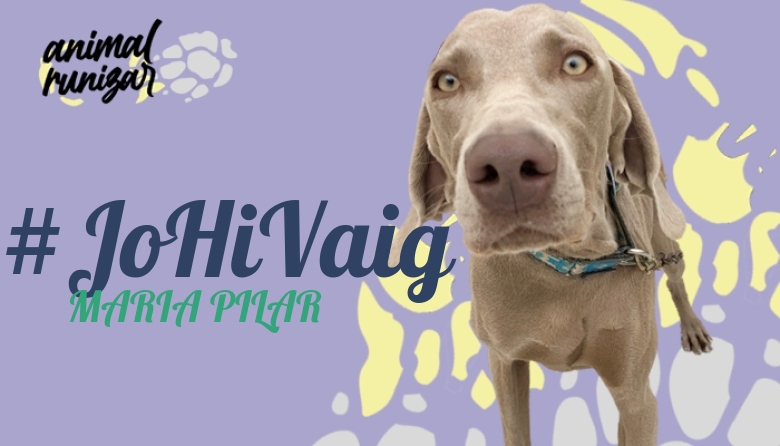 #JoHiVaig - MARIA PILAR (ANIMALRUNIZAR 2022)