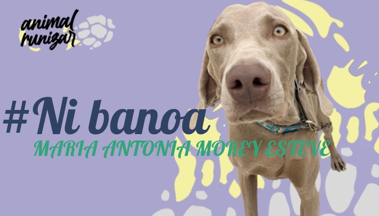 #JoHiVaig - MARIA ANTONIA MOREY ESTEVE (ANIMALRUNIZAR 2022)