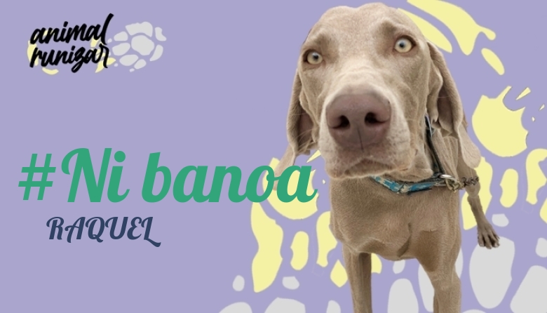 #JazGrem - RAQUEL (ANIMALRUNIZAR 2023)