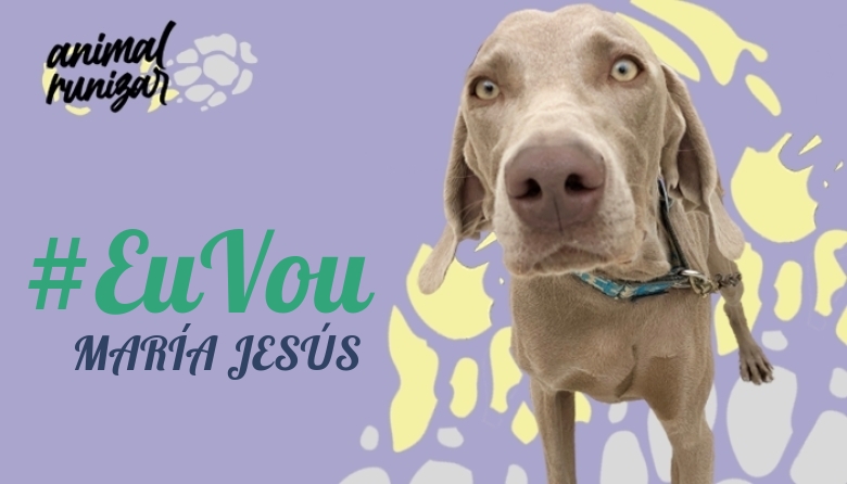 #YoVoy - MARÍA JESÚS (ANIMALRUNIZAR 2023)