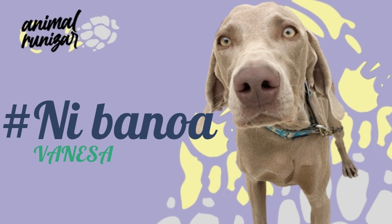 #JazGrem - VANESA (ANIMALRUNIZAR 2022)