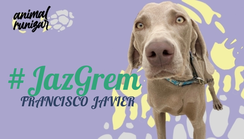 #ImGoing - FRANCISCO JAVIER (ANIMALRUNIZAR 2023)
