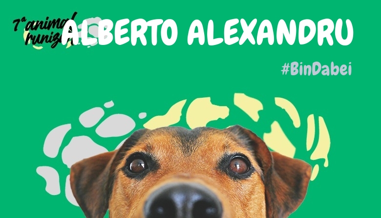 #JazGrem - ALBERTO ALEXANDRU (ANIMALRUNIZAR 2024)