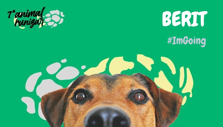 #Ni banoa - BERIT (ANIMALRUNIZAR 2024)