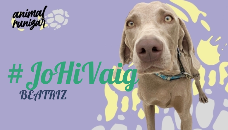 #ImGoing - BEATRIZ (ANIMALRUNIZAR 2023)