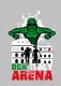 FORMAT OCR ITALY ARENA