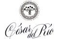 CÉSAR DEL RIO