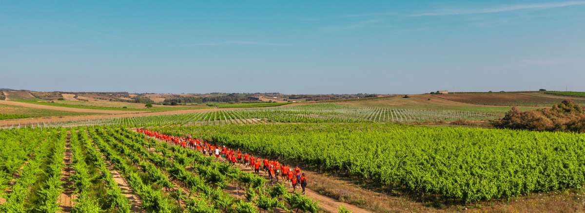 RUNCHALLENGE EXPERIENCE