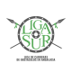 Liga Sur