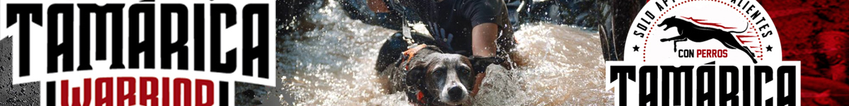 Informació  - TAMARICA WARRIOR CON PERROS VELILLA DEL RIO CARRION   PALENCIA   
