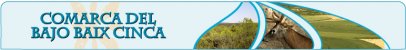 COMARCA BAJO/BAIX CINCA