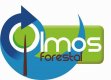 Olmos Forestal