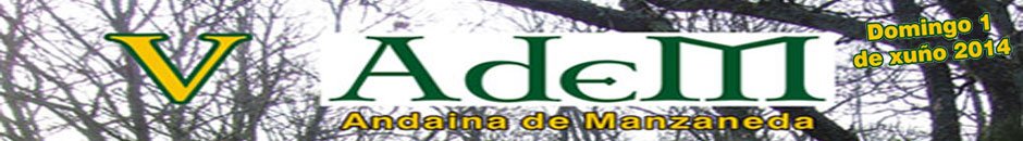 Informació  - V ANDAINA MANZANEDA