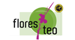 FLORES TEO
