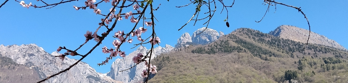 Iscrizione  - VAL SCURA TRAIL