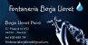 Fontanería Borja Lloret