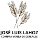 JOSÉ LUIS LAHOZ ROMEO