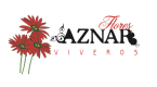 Flores Aznar