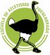 ESACUELA ATLETISMO FUENLABRADA
