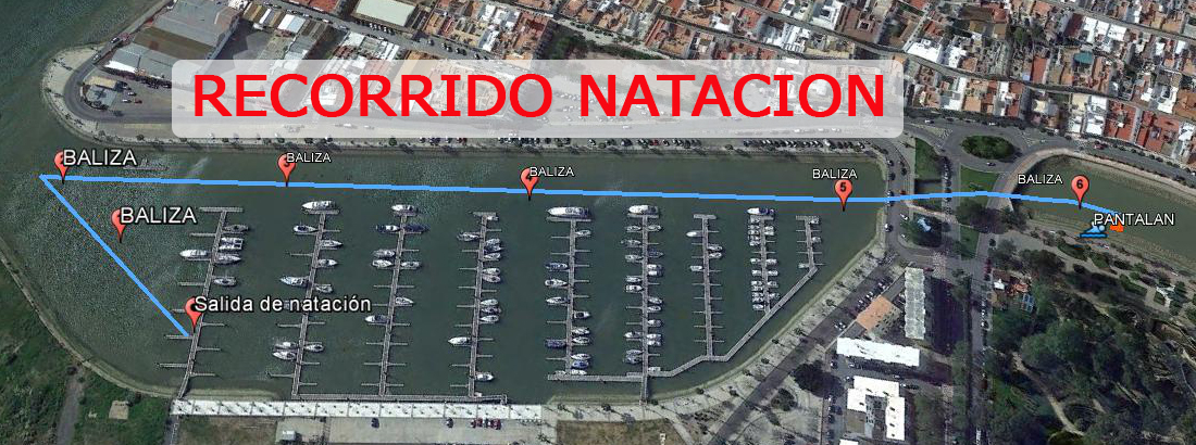 PLANO NATACION